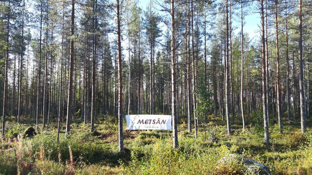 METSÄKUVA